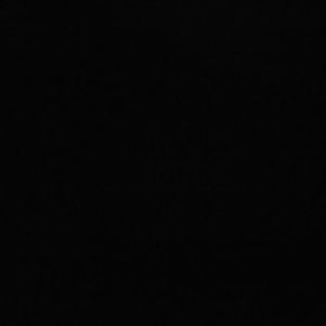 Meet your Posher, Lil